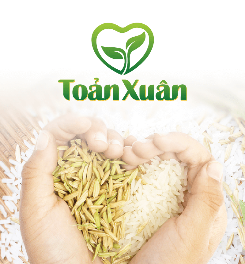 Dự án thiết kế thương hiệu Gạo Toản Xuân - Sao Kim Branding