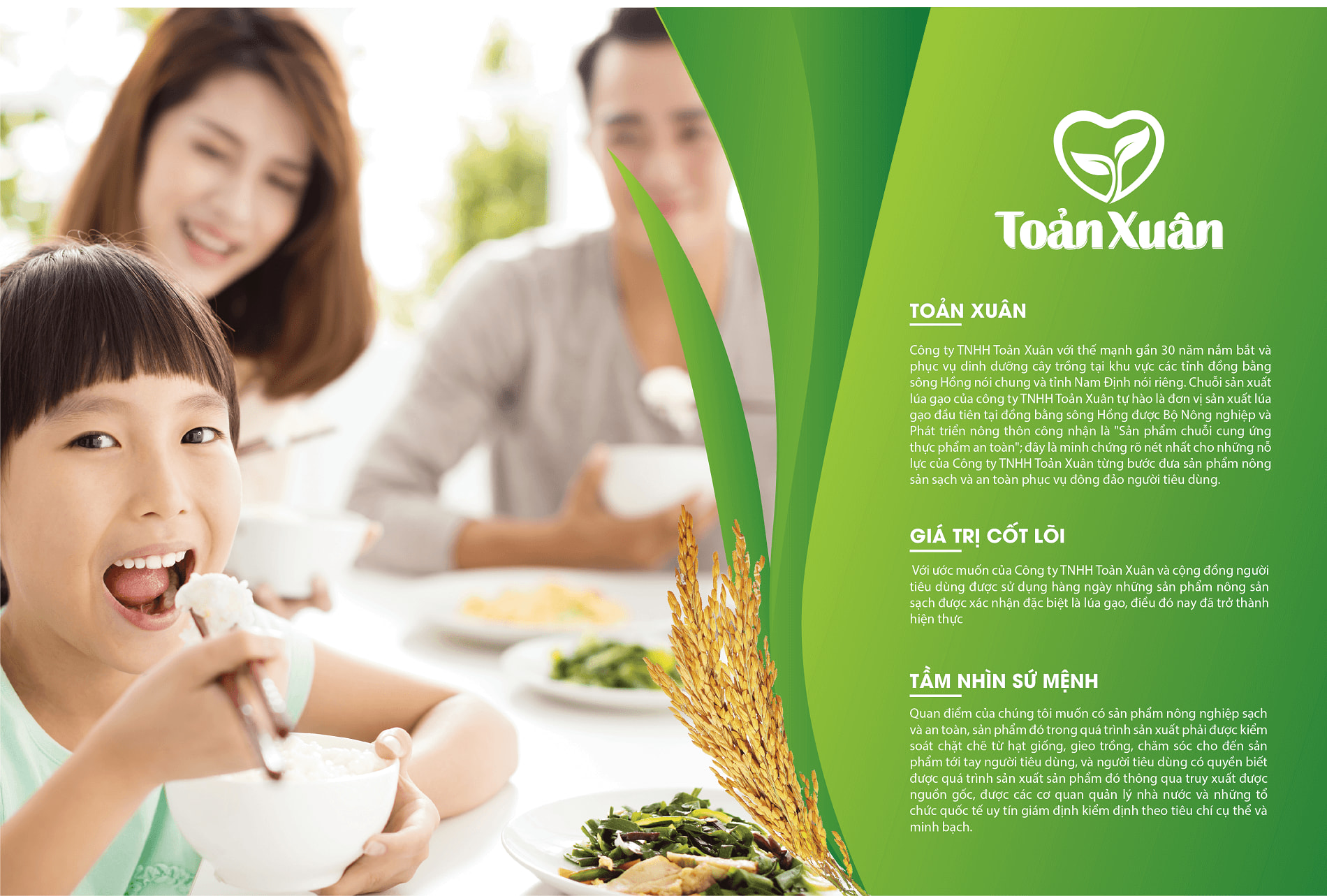 Dự án thiết kế thương hiệu, thiết kế bao bì Gạo Toản Xuân - 4