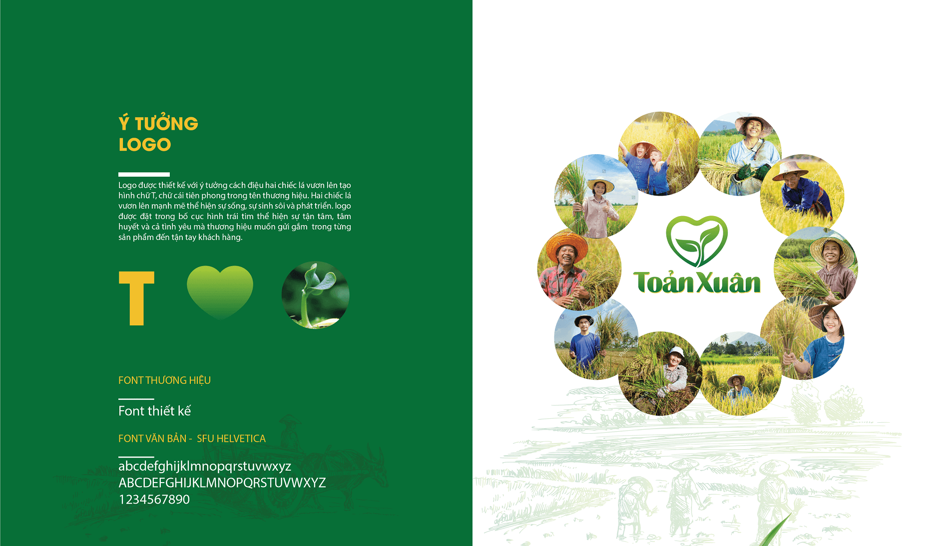 Dự án thiết kế thương hiệu, thiết kế bao bì Gạo Toản Xuân - 5