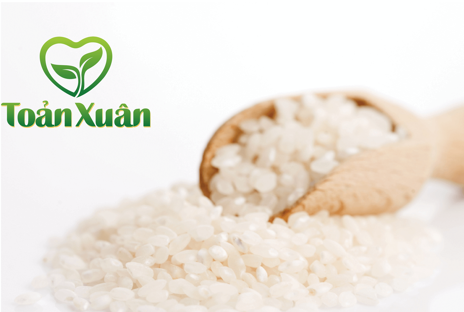 Dự án thiết kế thương hiệu, thiết kế bao bì Gạo Toản Xuân - 7