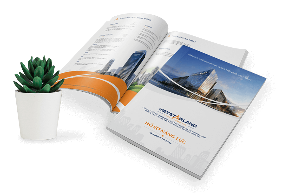 Dự án thiết kế thương hiệu, thiết kế hồ sơ năng lực VIETSTARLAND - 1