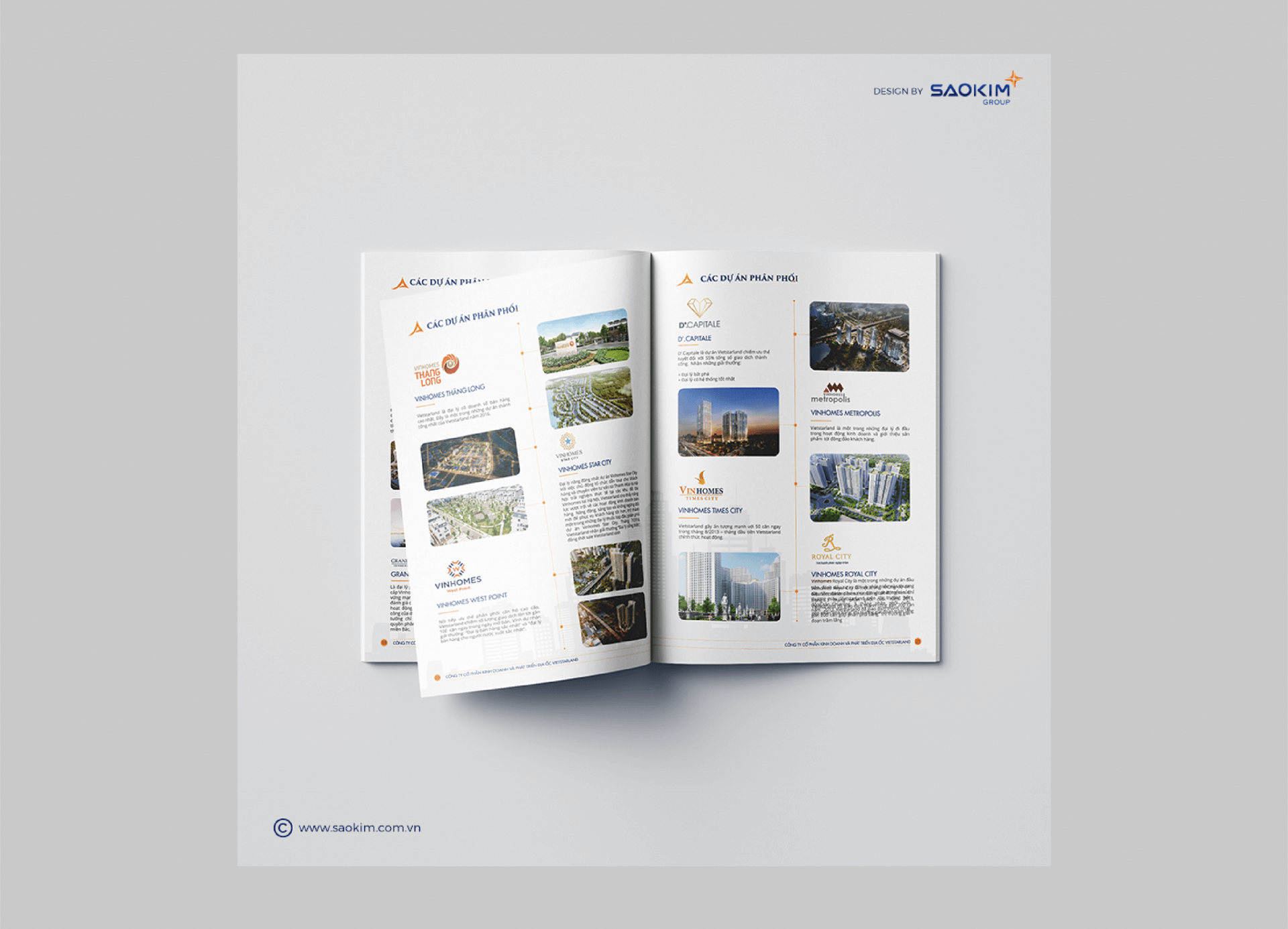 Dự án thiết kế thương hiệu, thiết kế hồ sơ năng lực VIETSTARLAND - 12