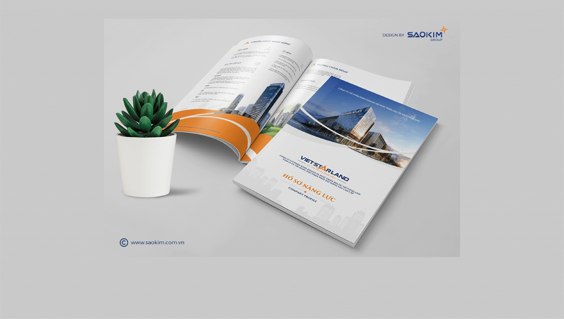 Dự án thiết kế thương hiệu, thiết kế hồ sơ năng lực VIETSTARLAND - 13