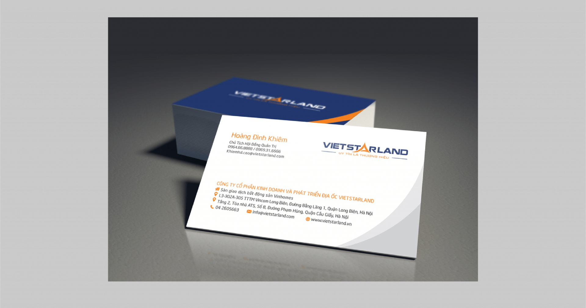Dự án thiết kế thương hiệu, thiết kế hồ sơ năng lực VIETSTARLAND - 4