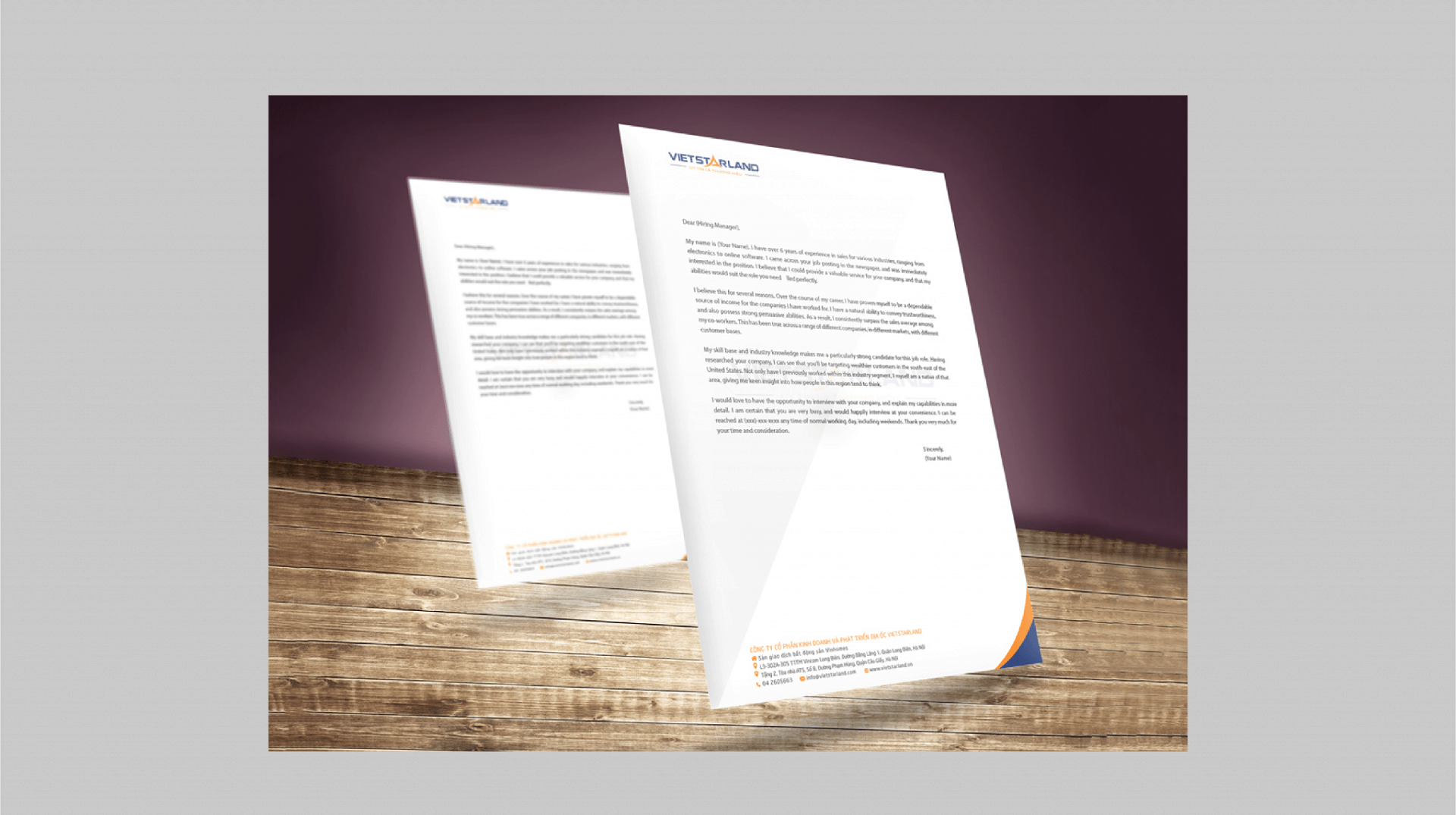 Dự án thiết kế thương hiệu, thiết kế hồ sơ năng lực VIETSTARLAND - 6