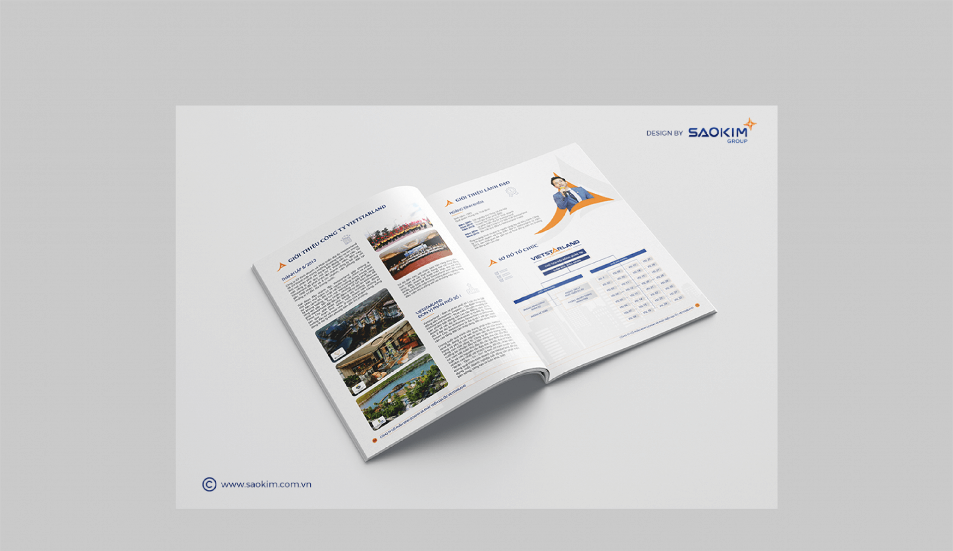 Dự án thiết kế thương hiệu, thiết kế hồ sơ năng lực VIETSTARLAND - 6