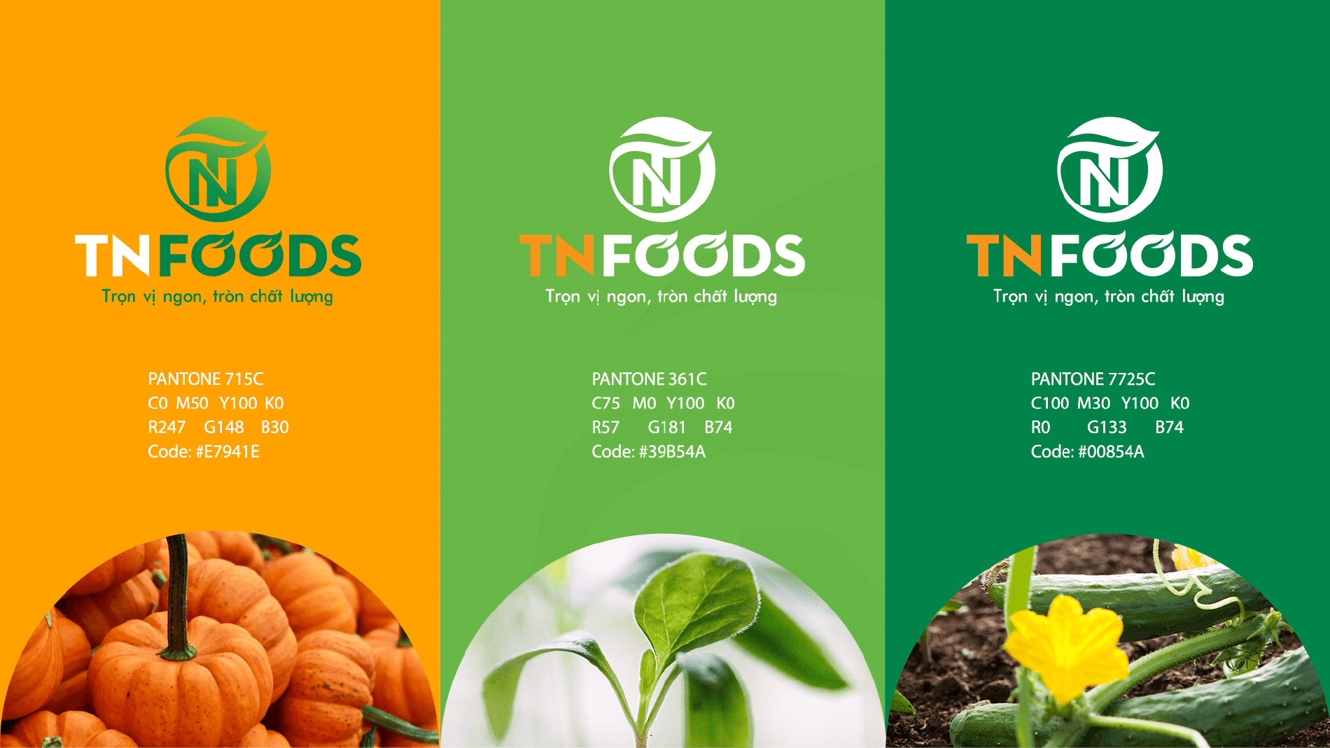 Dự án thiết kế thương hiệu, thiết kế website, nhận diện TN FOODS - 11