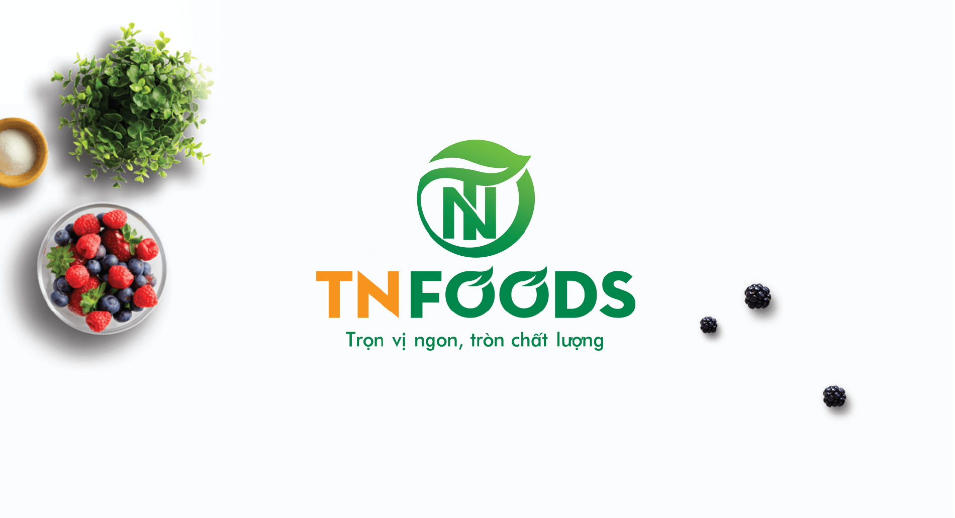 Dự án thiết kế thương hiệu, thiết kế website, nhận diện TN FOODS - Thiết kế Logo