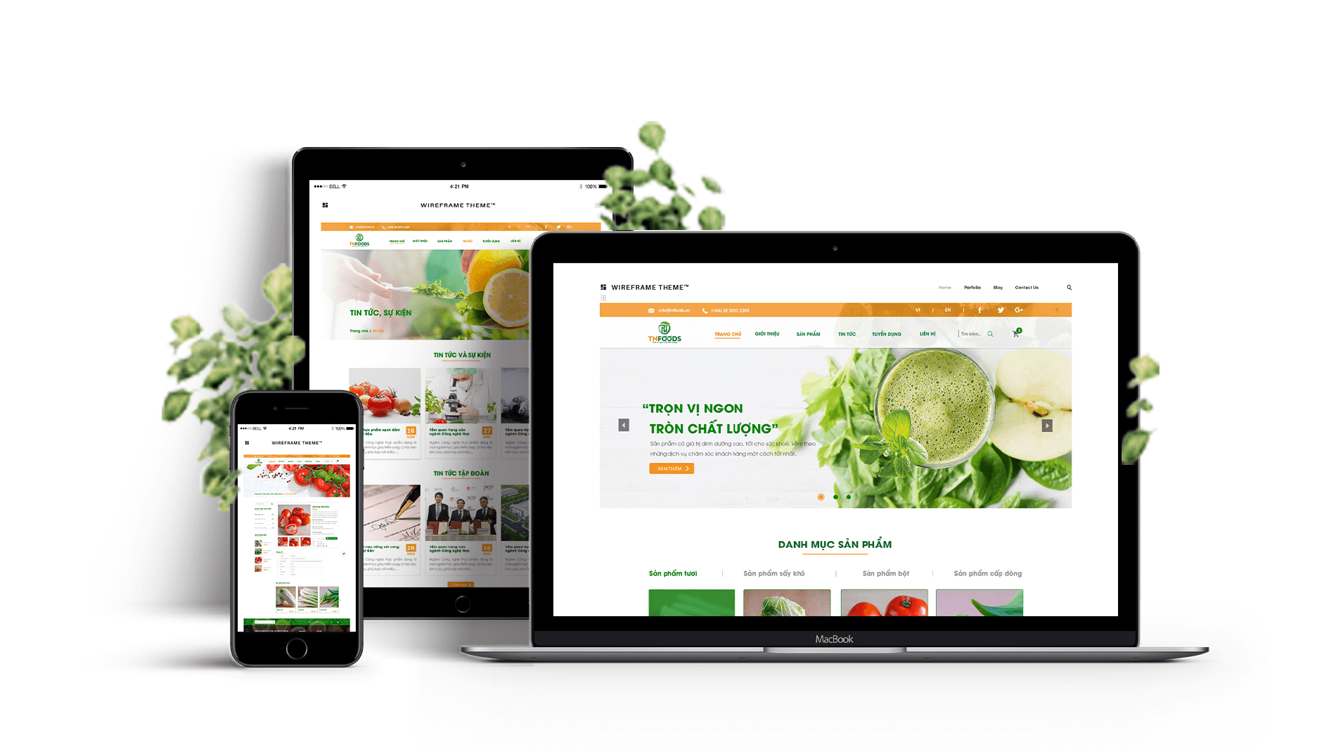 Dự án thiết kế thương hiệu, thiết kế website, nhận diện TN FOODS - Thiết kế website