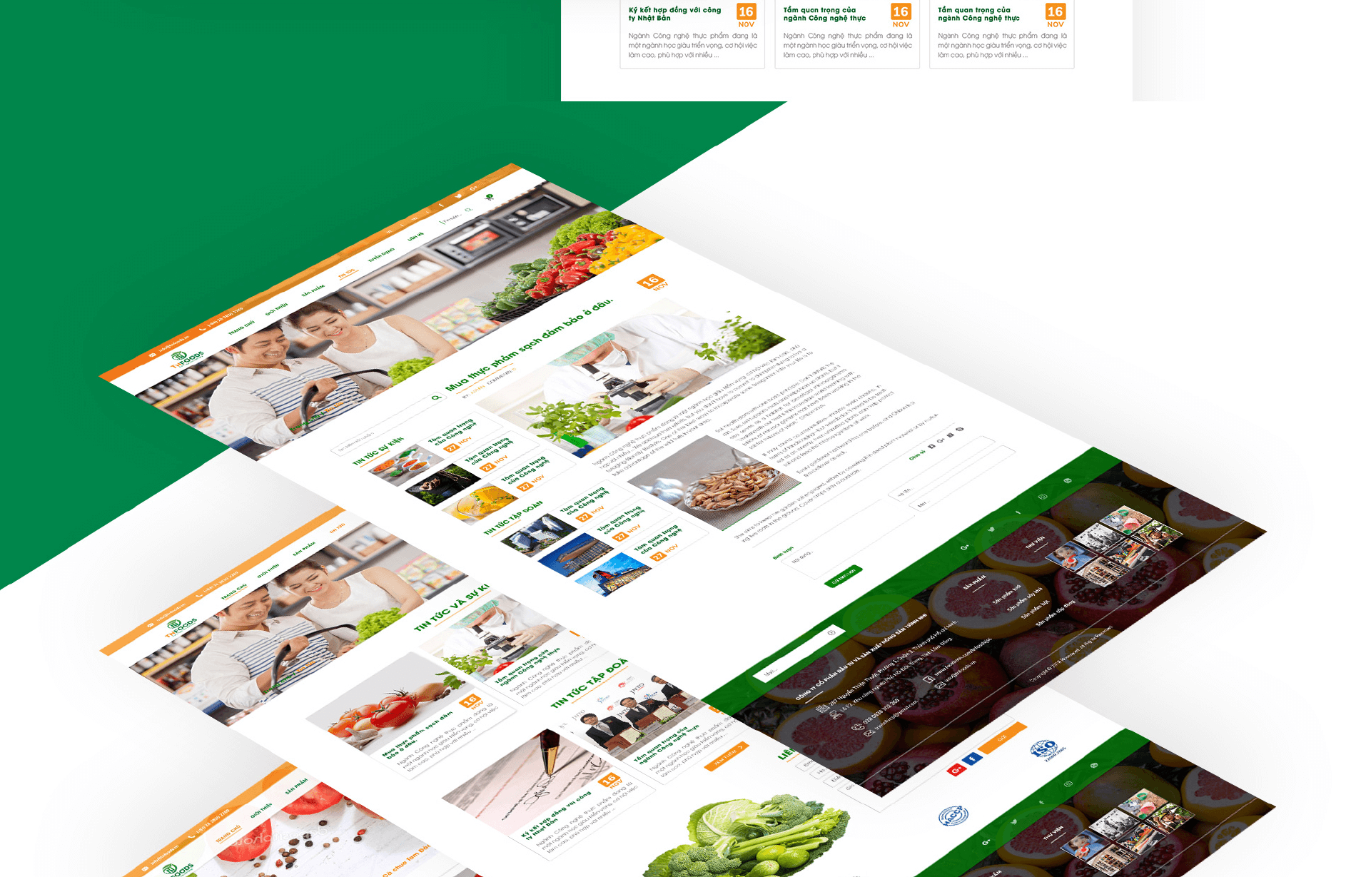 Dự án thiết kế thương hiệu, thiết kế website, nhận diện TN FOODS - 14