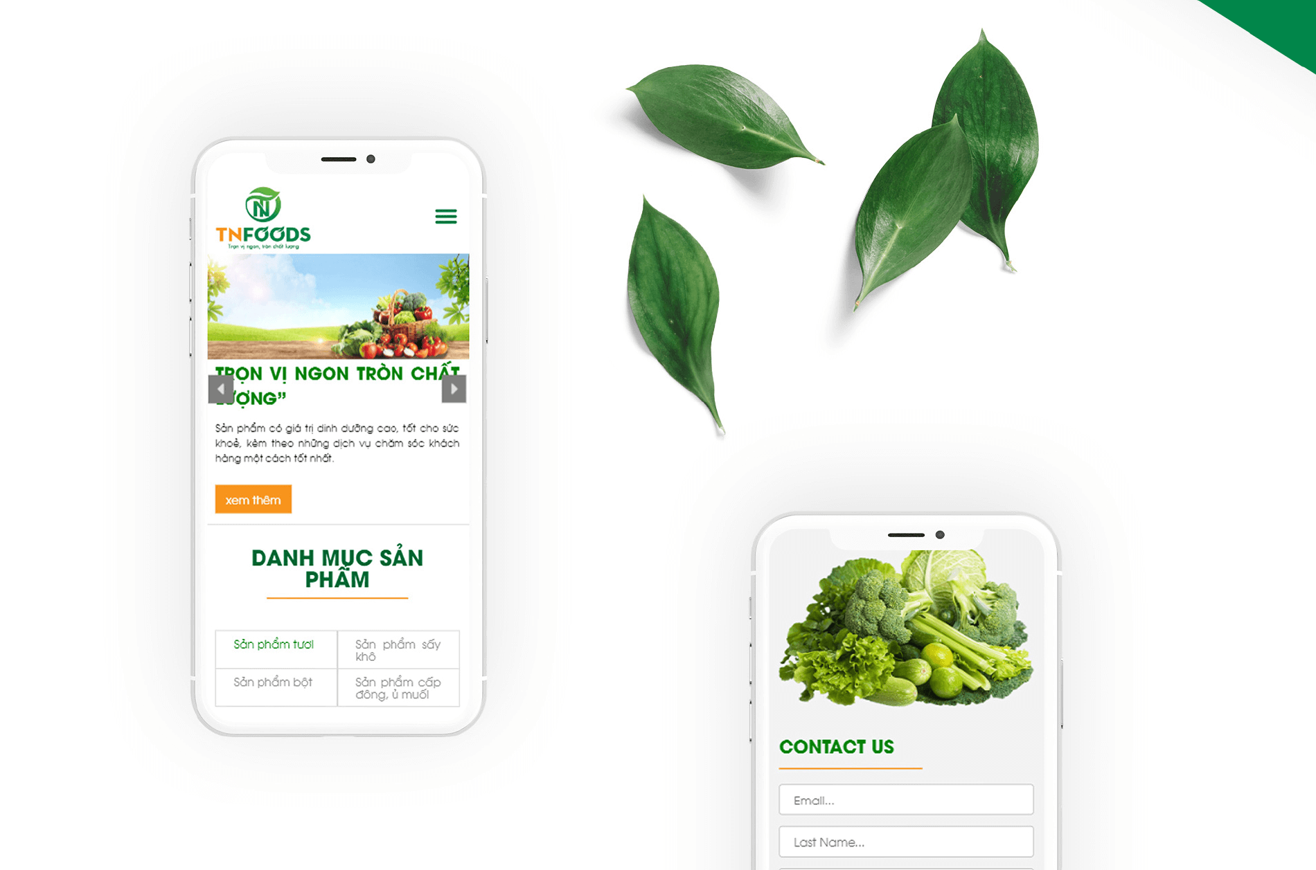 Dự án thiết kế thương hiệu, thiết kế website, nhận diện TN FOODS - 17