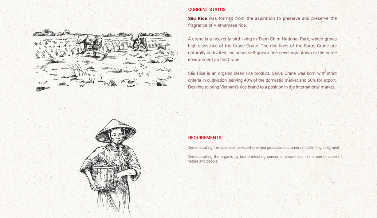 [Saokim.com.vn] Dự án Nghiên cứu thương hiệu Gạo Sếu Rice (Tram Chim Farming) từ Sao Kim Branding