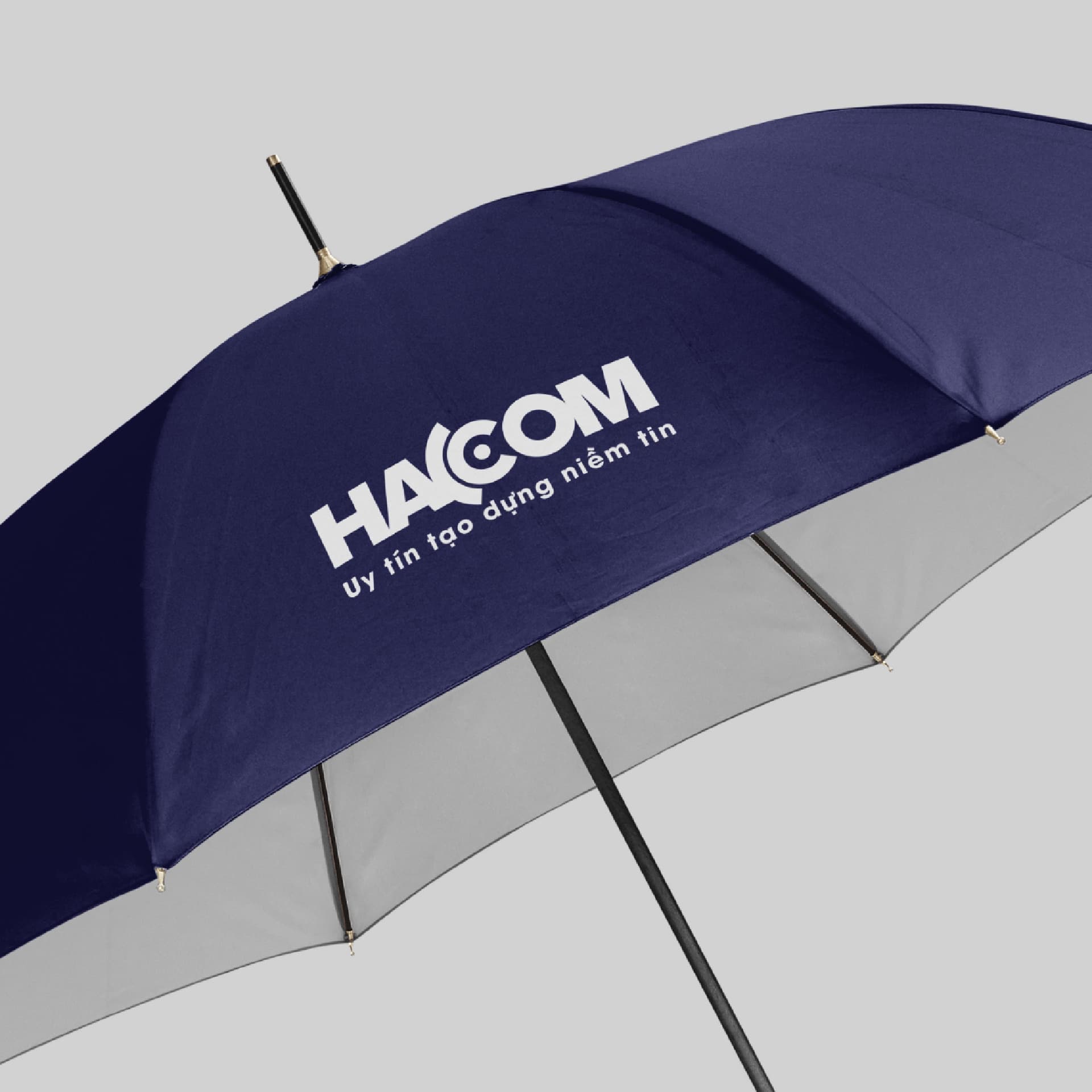 Dự án thiết kế thương hiệu HACOM - 12