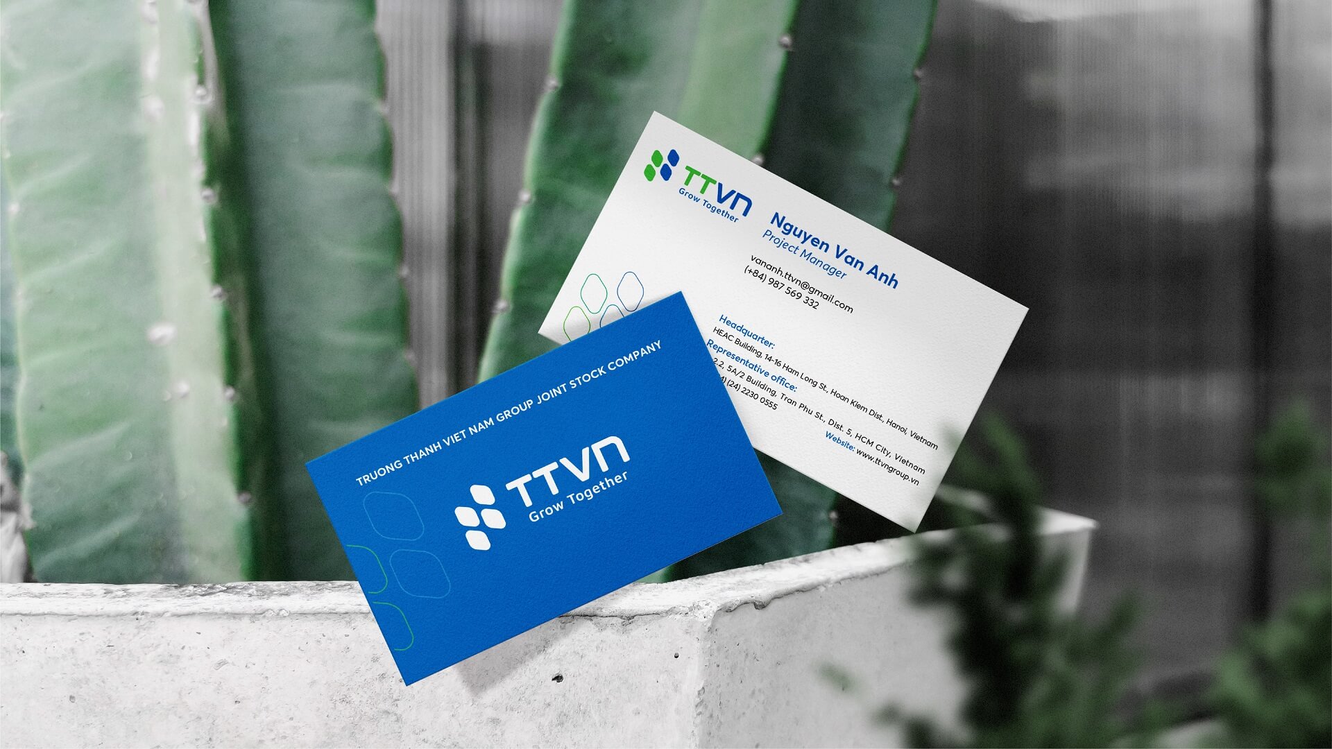 Thiết kế nhận diện thương hiệu TTVN Group - 12