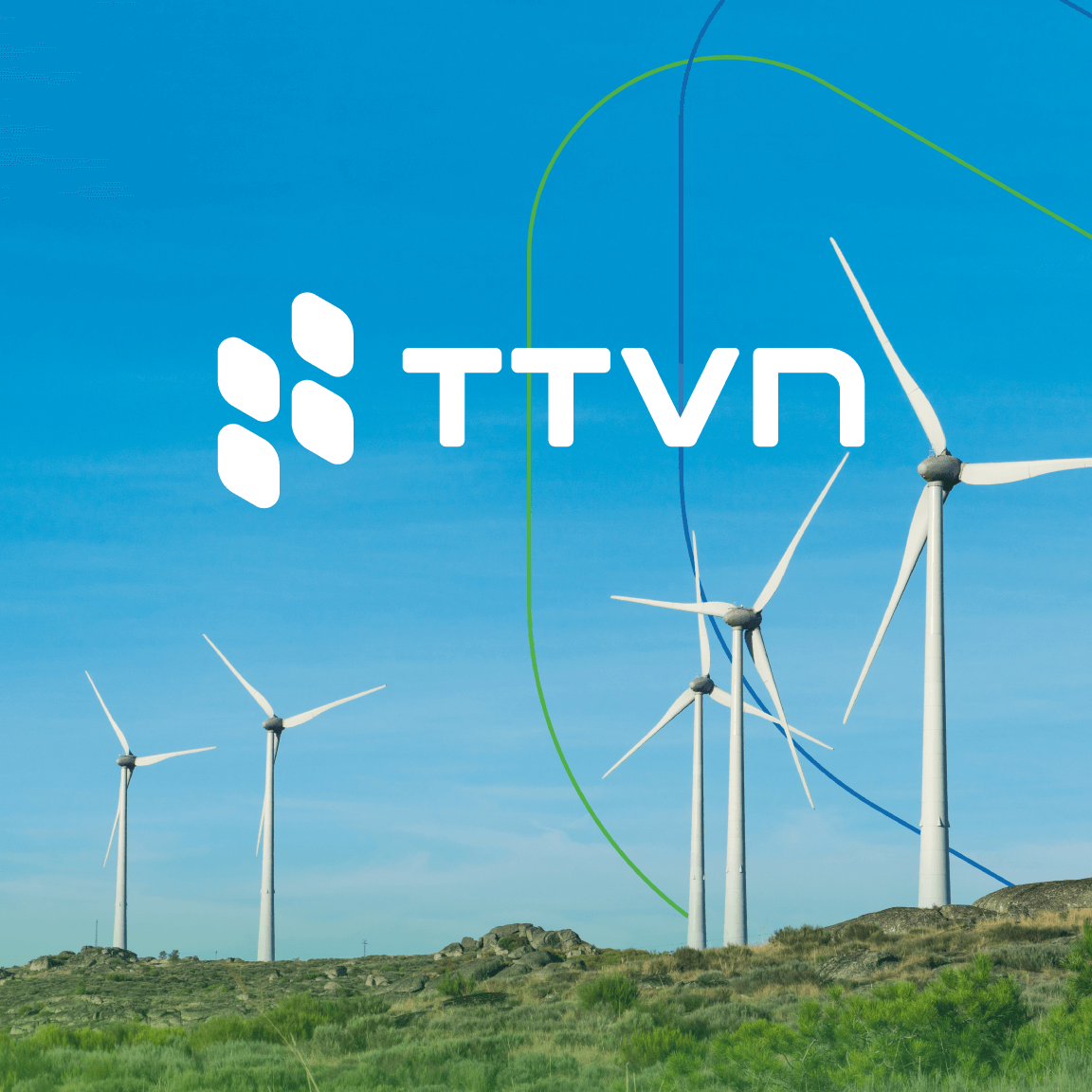 Thiết kế nhận diện thương hiệu TTVN Group