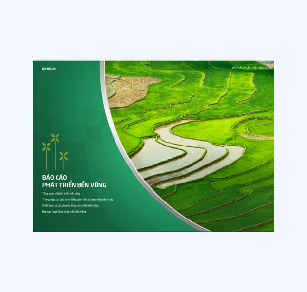 Mẫu Báo cáo phát triển bền vững Vinaseed