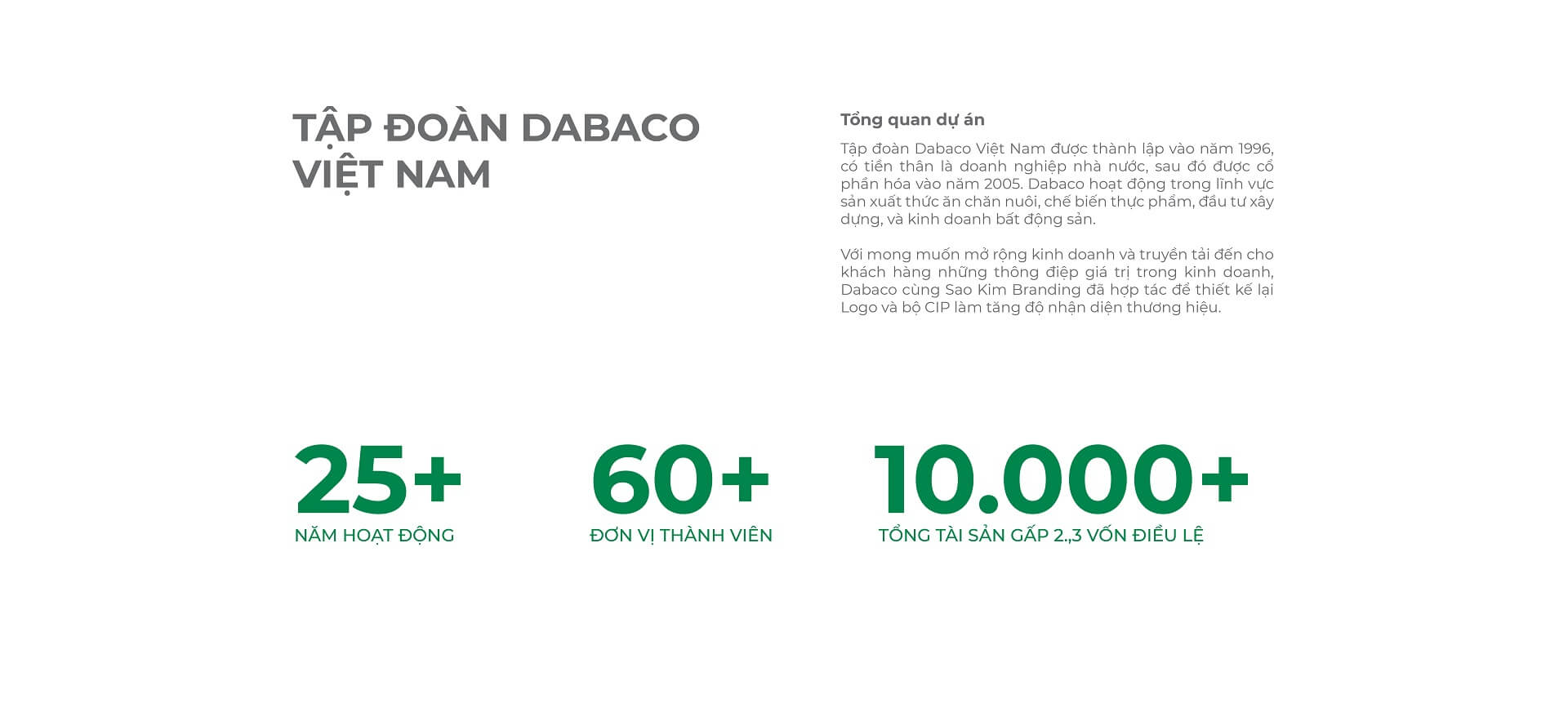 Dự án thiết kế bộ nhận diện thương hiệu, thiết kế logo DABACO GROUP của Sao Kim Branding - 2