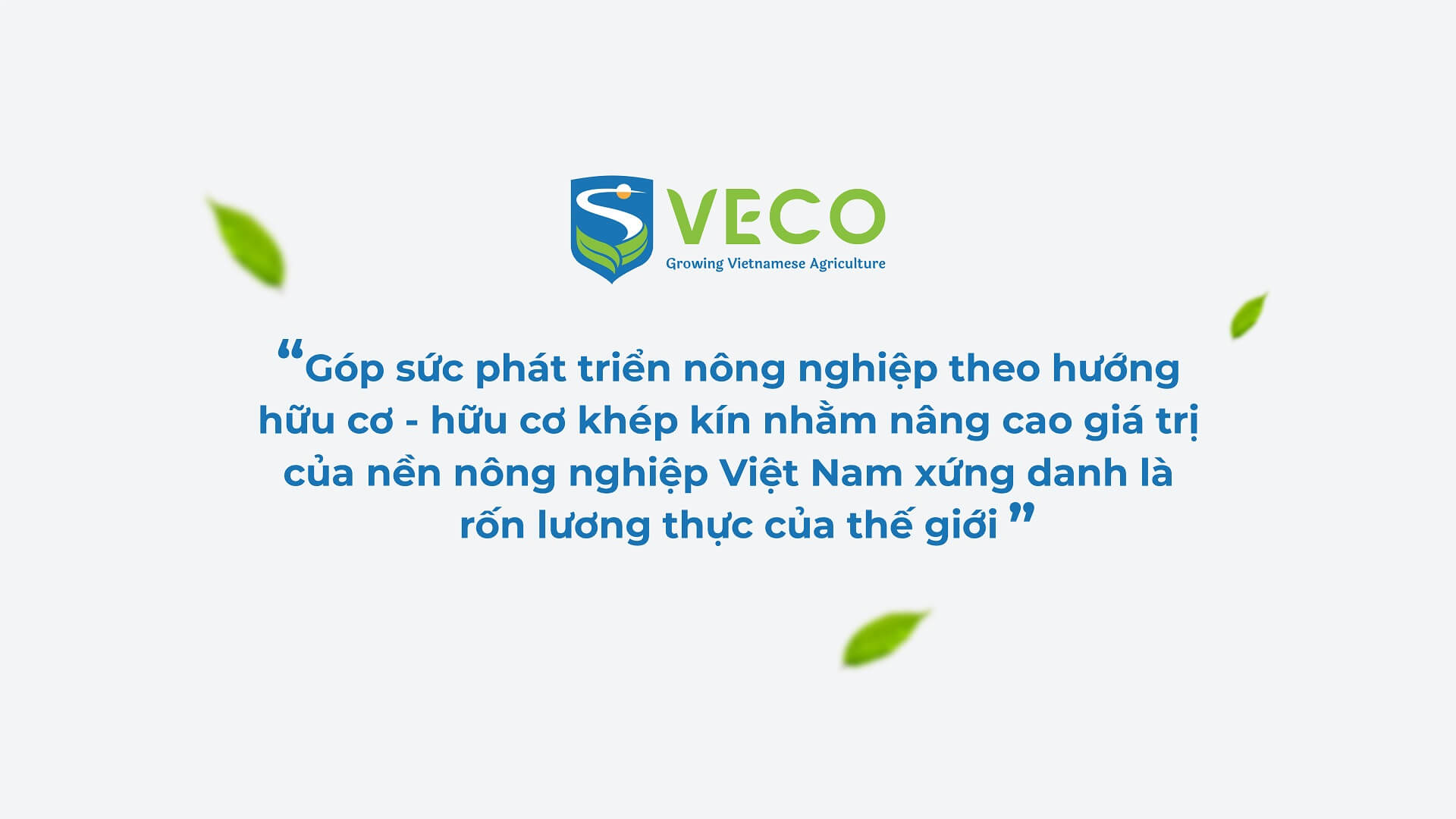 Dự án thiết kế bộ nhận diện thương hiệu, thiết kế logo VECO của Sao Kim Branding - 5