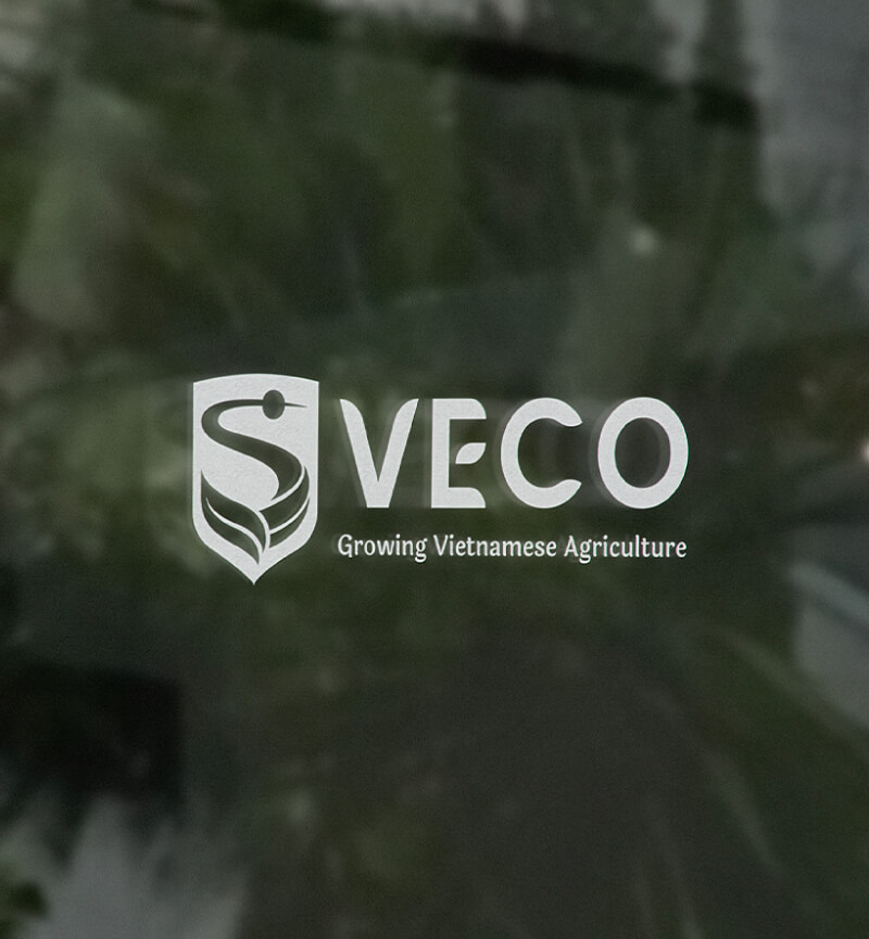 Dự án thiết kế bộ nhận diện thương hiệu, thiết kế logo VECO của Sao Kim Branding