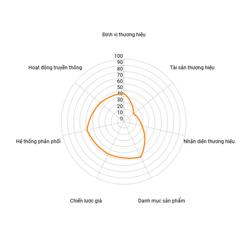 Toolkit Brand Audit