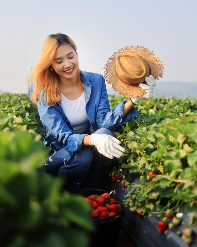 giai-phap-xay-dung-thuong-hieu-nganh-nong-nghiep-3