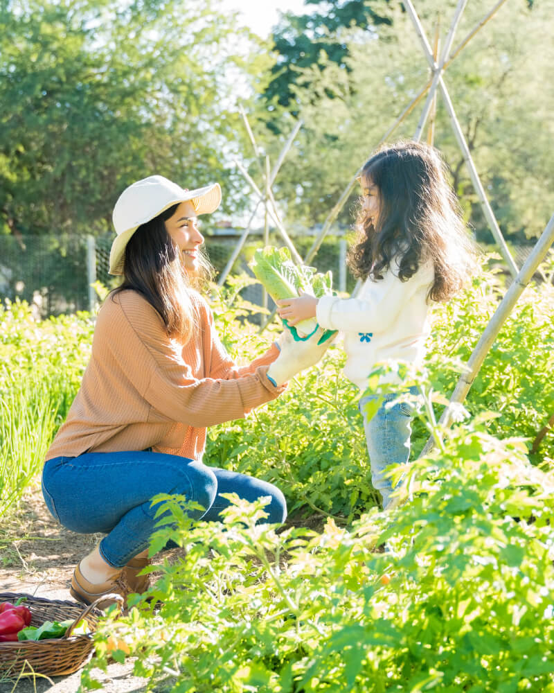 giai-phap-xay-dung-thuong-hieu-nganh-nong-nghiep-5