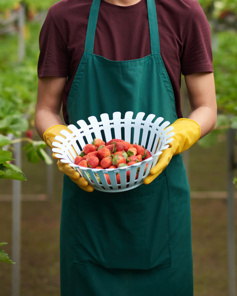 giai-phap-xay-dung-thuong-hieu-nganh-nong-nghiep-6