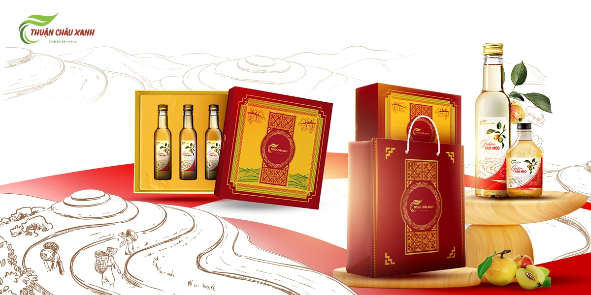 Dự án thiết kế bao bì nhãn mác sản phẩm Giấm Táo Mèo Thuận Châu Xanh