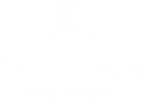 du-an-tai-dinh-thi-thuong-hieu-dicera-holdings-500x-1